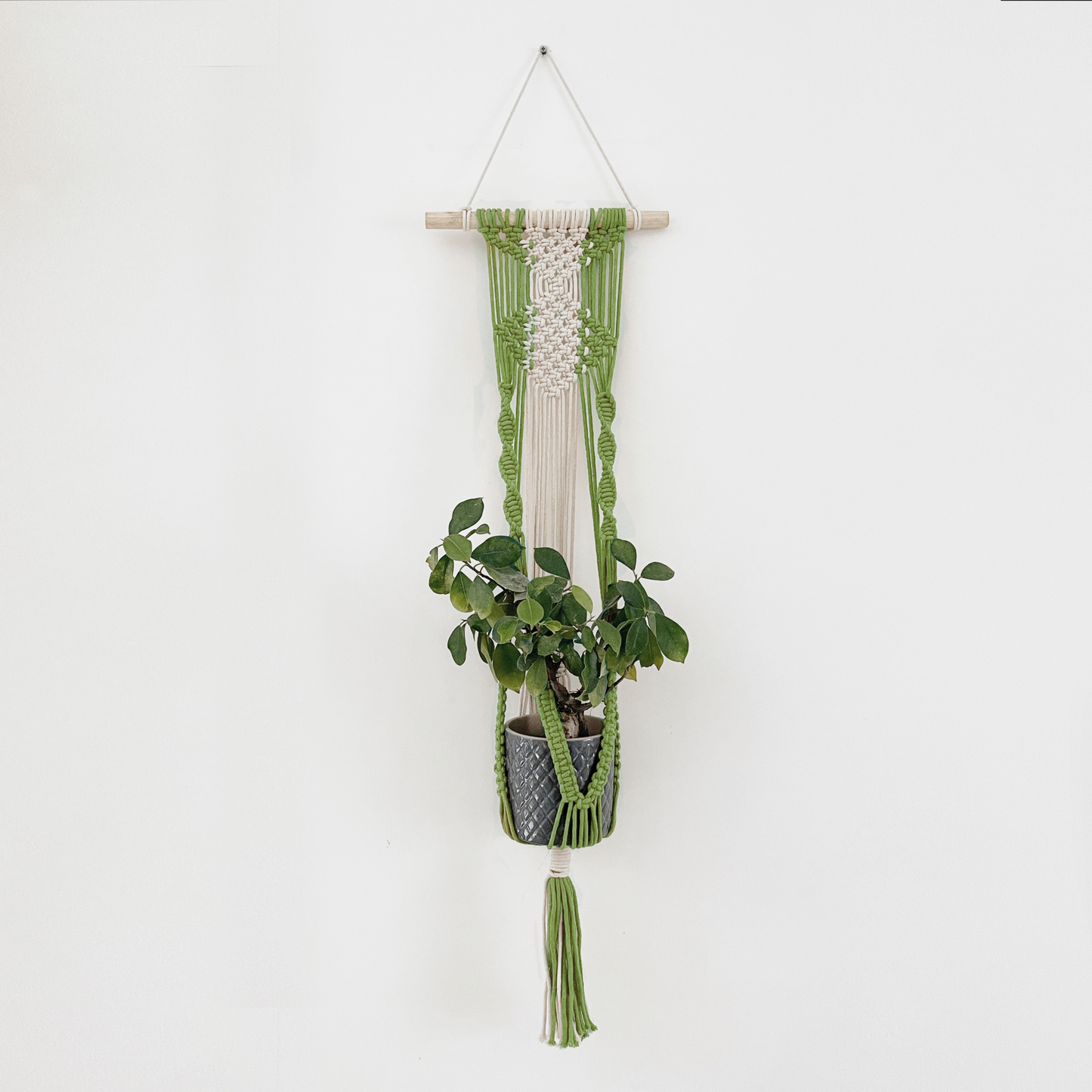 La Vida Macrame Green Wall Planter
